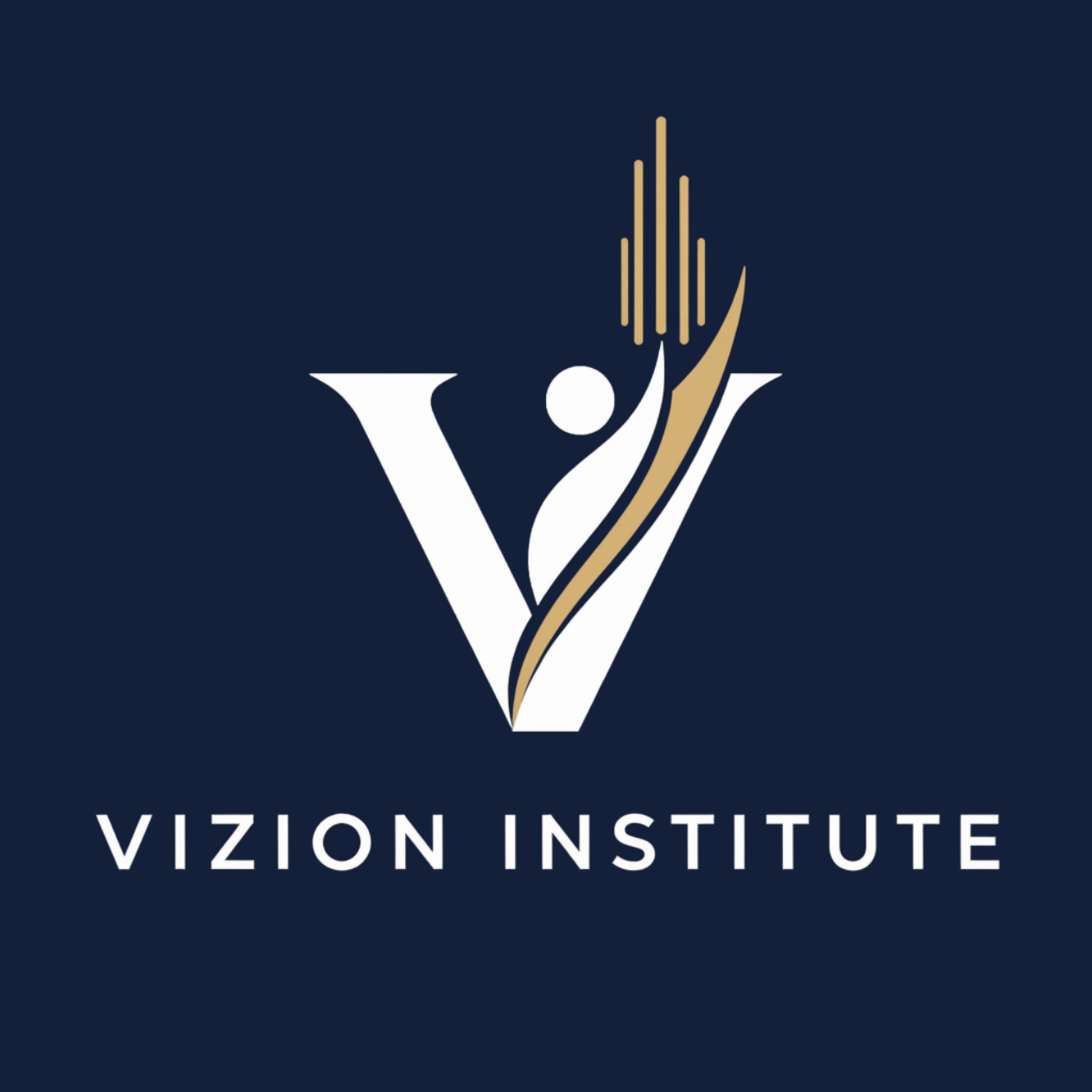 Vizion Institute Preview